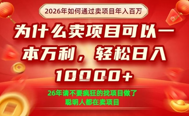 一单净利润1K+，26年想年入100个W，死磕卖项目就够了【揭秘】