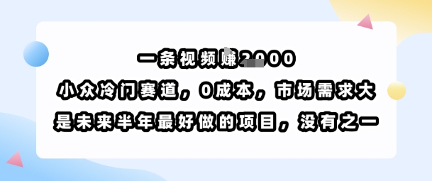 一条视频挣1k，小众冷门赛道，0成本，市场需求大，是未来半年最好做的项目，没有之一