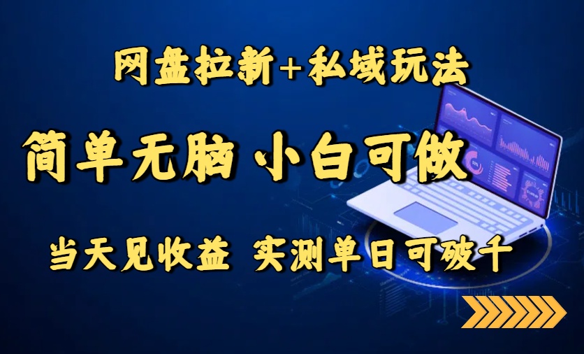 网盘拉新+私域玩法，简单无脑，小白可做，当天见收益，实测单日可破千