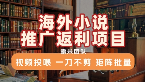 海外小说推广返利项目，视频投喂， 一刀不剪，矩阵批量