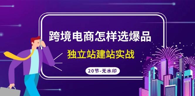 (9369期)跨境电商怎样选爆品，独立站建站实战(20节高清无水印课)