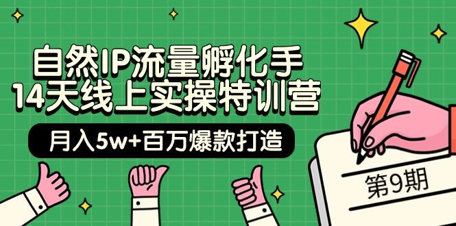 (9881期)自然IP流量孵化手 14天线上实操特训营【第9期】月入5w+百万爆款打造 (74节)
