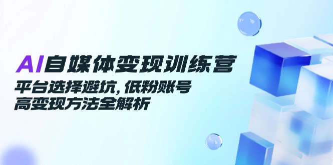 AI自媒体变现训练营，平台选择避坑，低粉账号高变现方法全解析