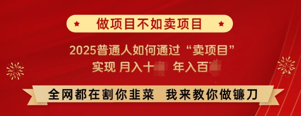 必看,做项目不如卖项目,2025普通人如何通过“卖项目”实现月入十个,年入百个