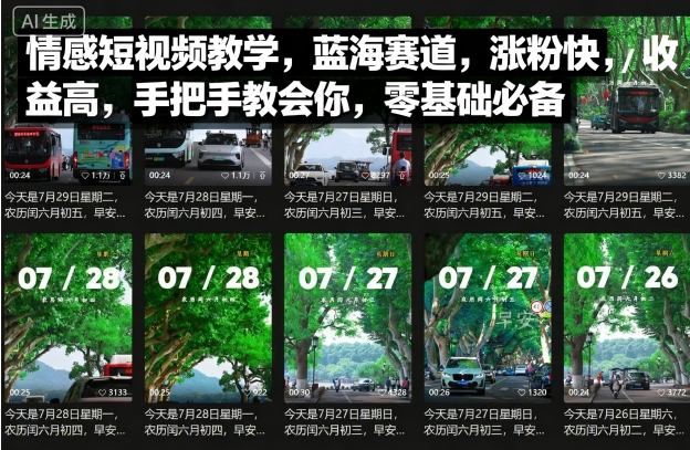 情感短视频教学，蓝海赛道，涨粉快，收益高，手把手教会你，零基础必备
