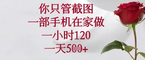 你只管截图，一部手机在家做，苹果安卓都可以，一小时120，一天5张+【揭秘】
