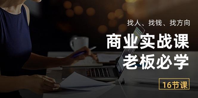 商业实战课【老板必学】：找人、找钱、找方向(16节课