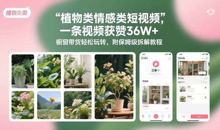 植物类情感类短视频，一条视频获赞36W+，橱窗带货轻松玩转，附保姆级拆解教程