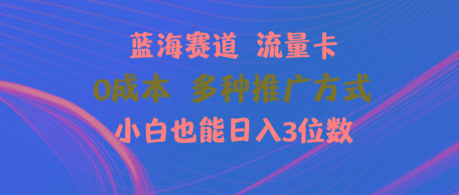 蓝海赛道 流量卡 0成本 小白也能日入三位数