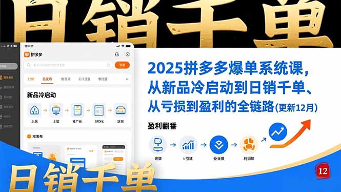 2025拼多多爆单系统课，从新品冷启动到日销千单、从亏损到盈利的全链路(更新12月
