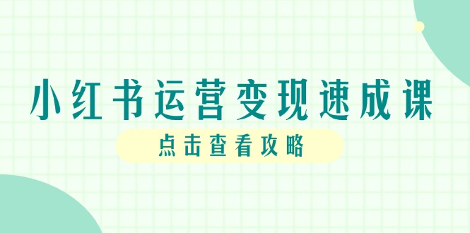 小红书运营变现速成课，账号搭建到暴力起号，个人IP全流程指南