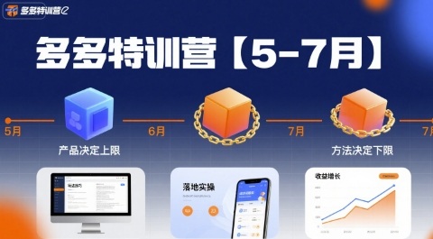 多多特训营，产品决定上限，方法决定下限，各种玩法技巧落地实操(更新)
