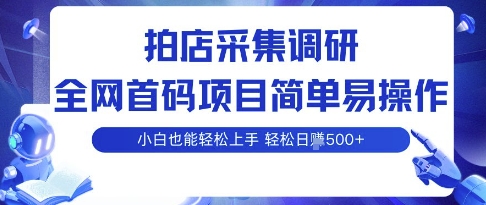 拍店采集调研，全网首码项目，简单易操作， 小白也能轻松上手，多账号操作，轻松日入5张【揭秘】