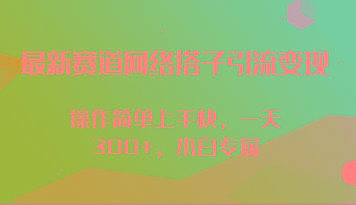 最新赛道网络搭子引流变现!!操作简单上手快，一天300+，小白专属