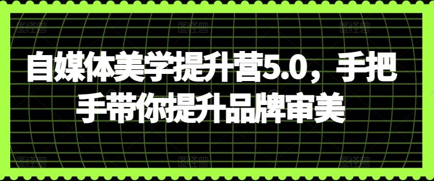 自媒体美学提升营5.0,手把手带你提升品牌审美