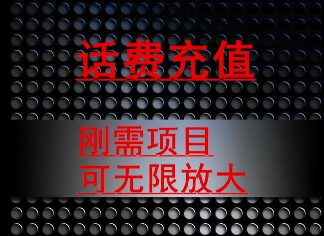 最新蓝海项目，刚需赛道，95折充话费月入5位数