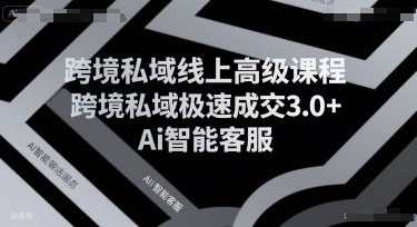 跨境私域线上高级课程,跨境私域极速成交3.0+Ai智能客服