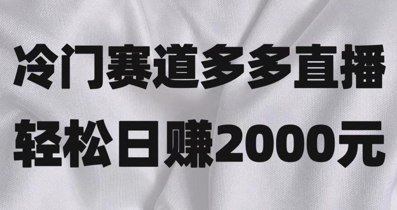 冷门赛道拼多多直播,简单念稿子,日收益2000+【揭秘】