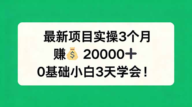 最新项目实操3个月，赚钱20000+，0基础小白3天学会！