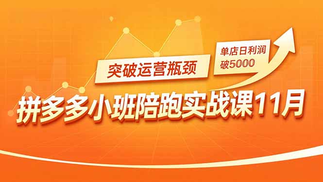 拼多多小班陪跑实战课11月，强付费矩阵、原价活动、暗券引流，突破运营瓶颈，单店日利润破5000