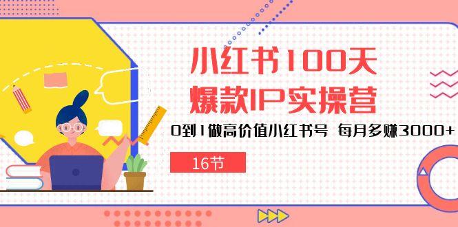 小红书100天-爆款IP实操营，0到1做高价值小红书号 每月多赚3000+(16节