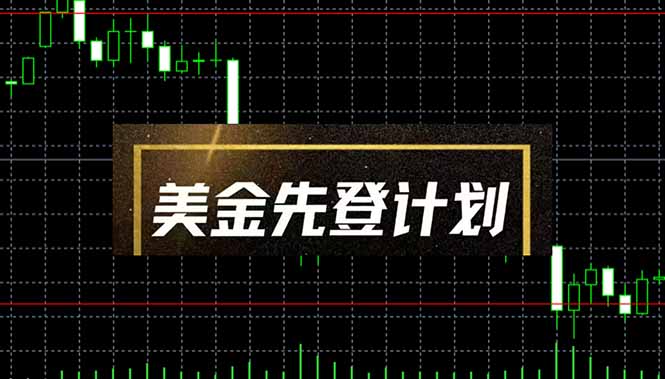 美金先登计划(2025黑马项目