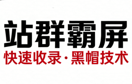 SEO野路子实战全集：快速收录、站群霸屏、黑帽技术(更新)