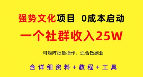 强势文化项目，一个社群收入25个W，0成本启动，可矩阵批量操作，原创详细实操教程