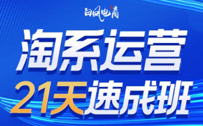 白凤电商·淘系运营21天速成班(更新5月)
