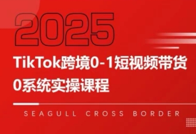 大亿老师·TikTok跨境0-1短视频带货
