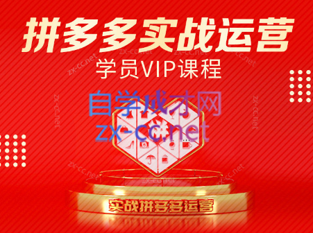 推易电商·拼多多实战运营课(更新2025月)