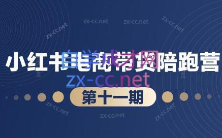 盗坤·小红书电商带货陪跑营(第十一期)