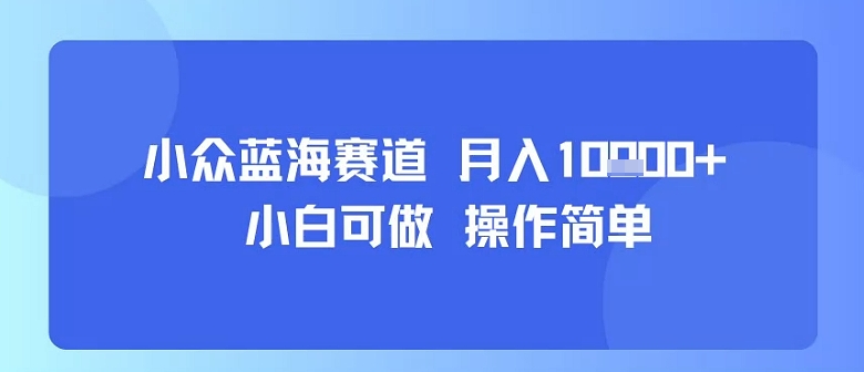 小众蓝海赛道，小白可做，操作简单，每天30分钟，月入1W+