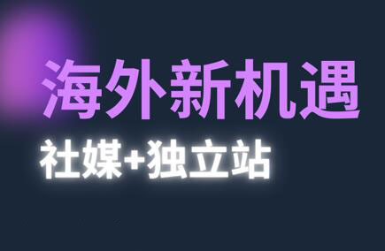棕榈·2025出海新机遇(社媒+独立站)