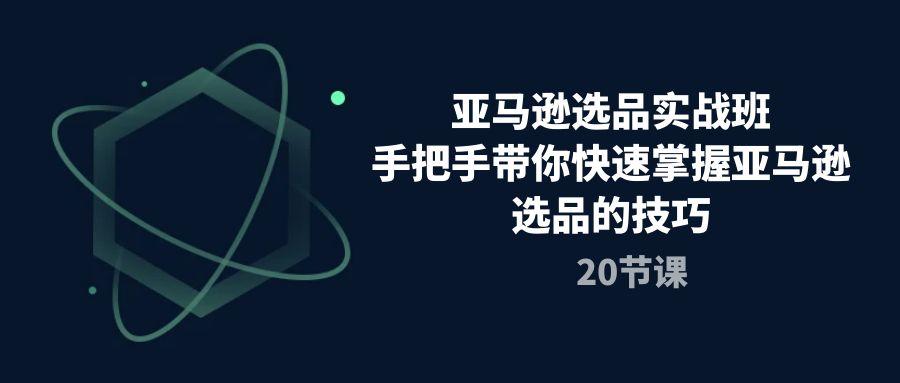 亚马逊选品实战班，手把手带你快速掌握亚马逊选品的技巧(20节课