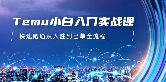 (9295期)Temu小白入门实战课：跨境拼多多电商培训 快速跑通从入驻到出单全流程-12节