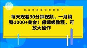 每天观看30分钟视频,一月躺赚1000+美金!保姆级教程,可放大操作【揭秘】