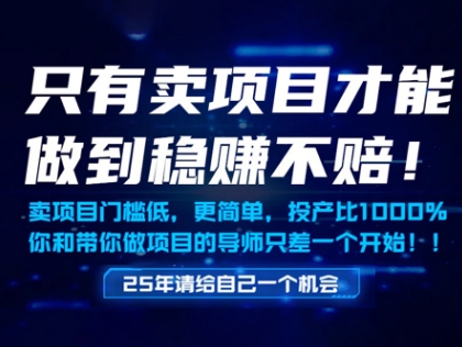 只有卖项目才能做到稳挣不赔，门槛低，更简单，你也可以年入百个W【揭秘】