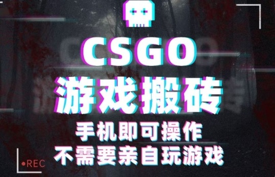 CSGO游戏挂G捡漏，单日扫货5张+，年底小高峰上车可吃肉，手机即可操作，兼职副业创业网创【揭秘】