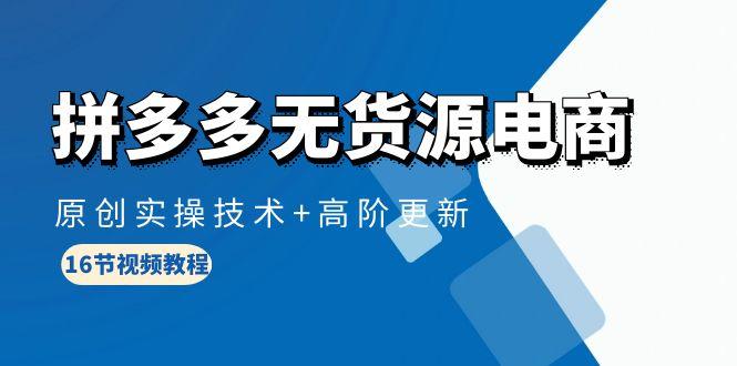 (10015期)拼多多无货源电商，原创实操技术+高阶更新(16节视频教程)