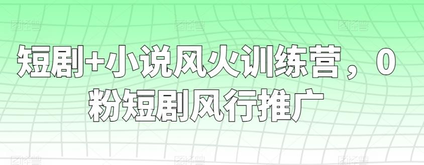 短剧+小说风火训练营，0粉短剧风行推广