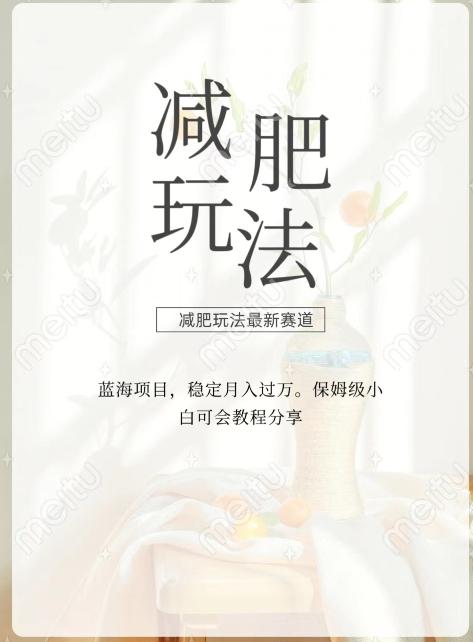 减肥流量主新玩法,轻松月入1W,可矩阵操作收入翻倍
