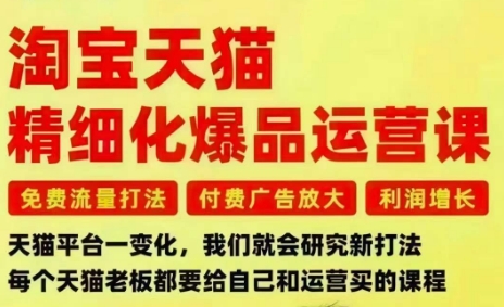 淘宝天猫精细化爆品运营课，免费流量打法-付费广告放大-利润增长-三大核心痛点，一次全部解决
