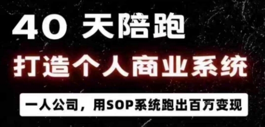 40天陪跑打造个人商业系统，一人公司，用SOP系统跑出百W变现