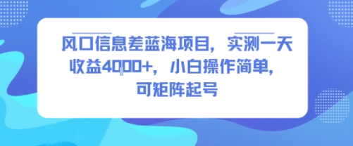 风口信息差蓝海项目,实测一天收益4k+,小白操作简单,可矩阵起号