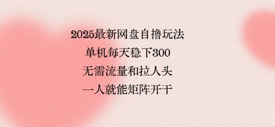 2025最新网盘自撸玩法，单机每天稳下3张，无需流量和拉人头，一个人就可轻松矩阵，全网独一份【揭秘】