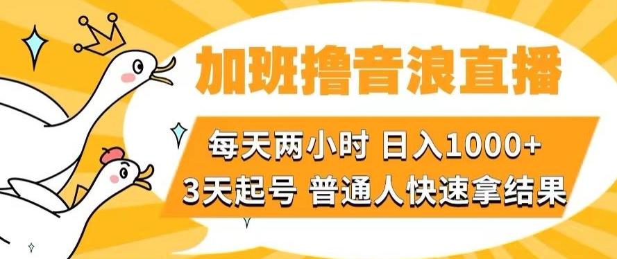 加班撸音浪直播,每天两小时,日入1000+,直播话术才3句,3天起号,普通人快速拿结果【揭秘】