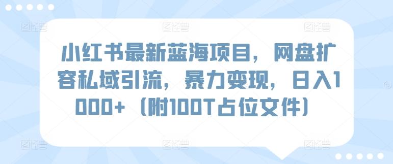 小红书最新蓝海项目，网盘扩容私域引流，暴力变现，日入1000+(附100T占位文件)【揭秘】